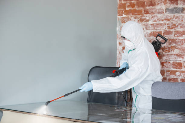 Best Environmental Consulting for Mold Prevention  in Mclean, VA