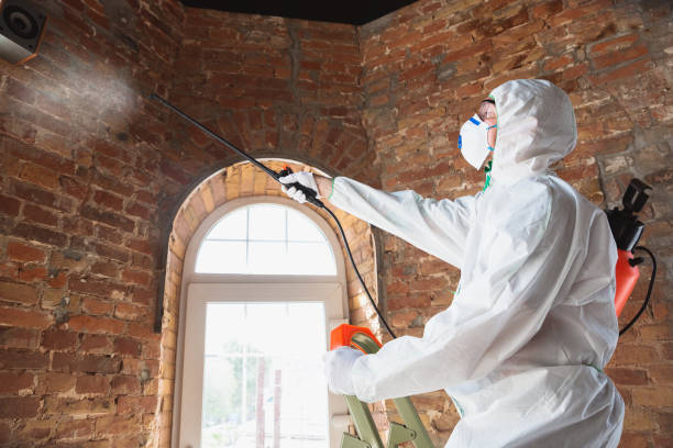 Best Comprehensive Air Testing for Mold Contaminants  in Mclean, VA